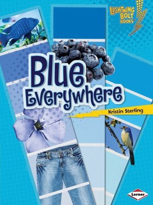 cover image of Blue Everywhere